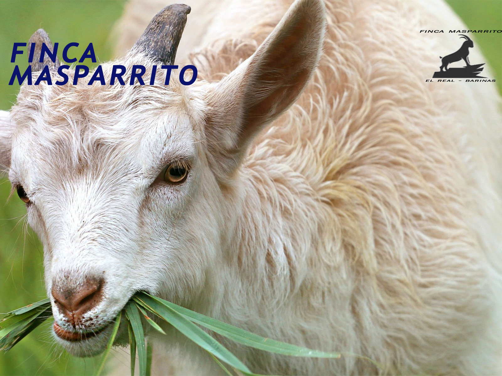 login image